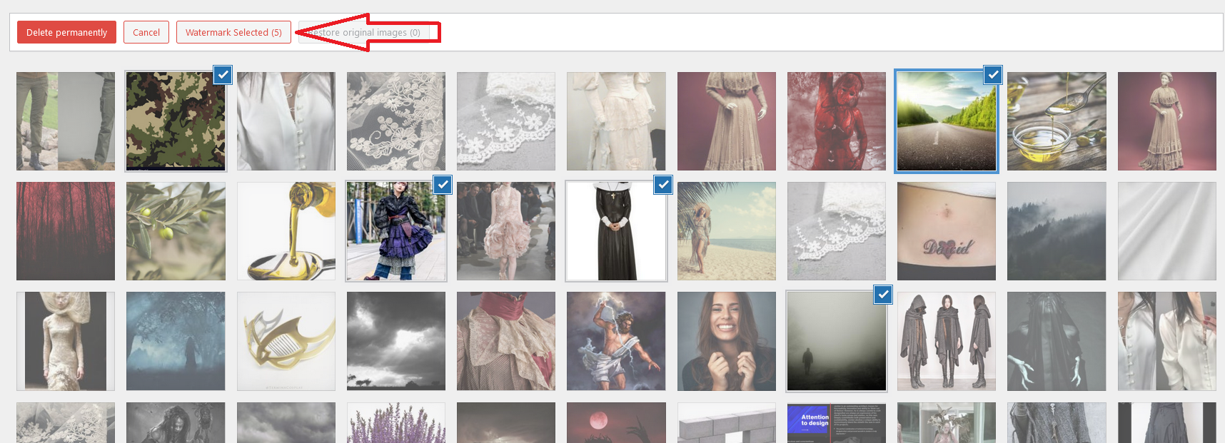 Bulk actions watermark selected button in WordPress